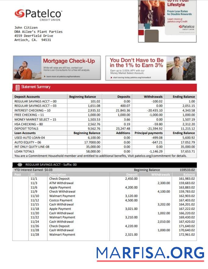Realistic USA California Patelco Credit Union bank statement word real example
